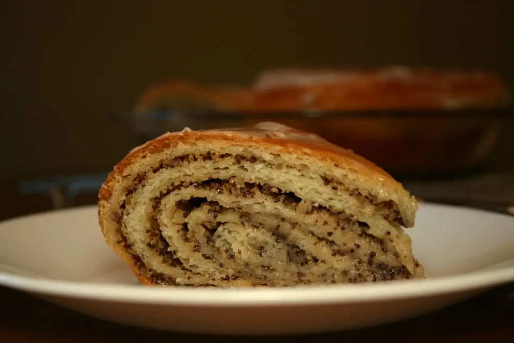 Slice of Poppy Seed-Walnut Potica