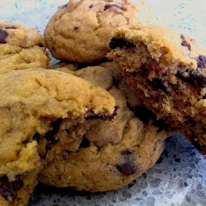 Gluten, soy, dairy, nut free chocolate chip cookies