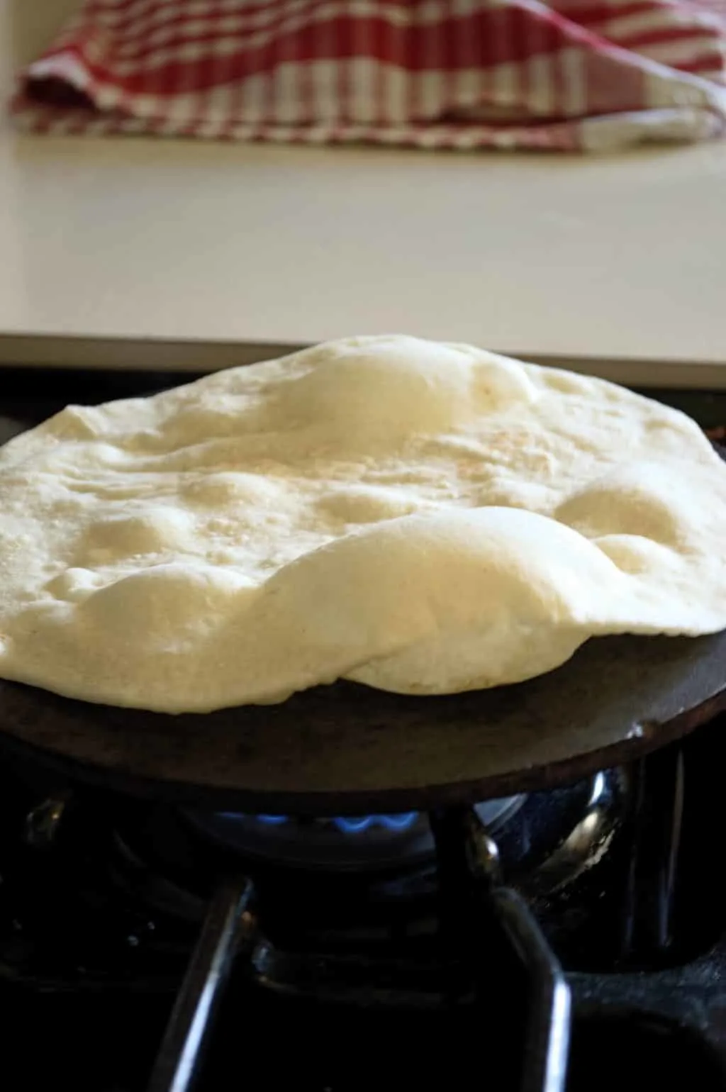 Homemade Flour Tortillas | Kitchen Gidget