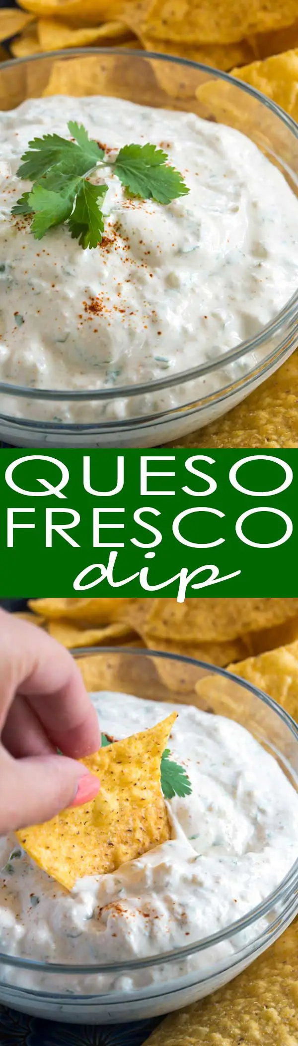 Queso Fresco Dip: creamy sour cream, fresh cilantro, crumbled white queso fresco and a few Mexican spices are all you need to make this easy dip!