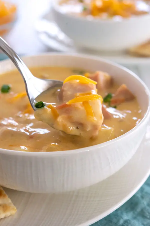 Spoonful of cheesy ham and potato soup with cheddar, potatoes and green onions