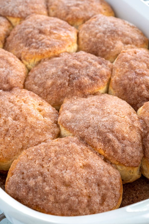 Freshly baked tray of cinnamon biscuits with crunchy sugar topping