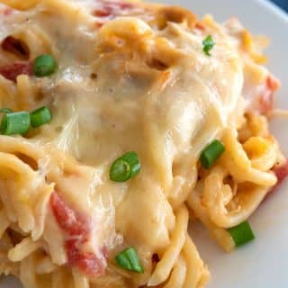 Serving of chicken spaghetti casserole on a plate