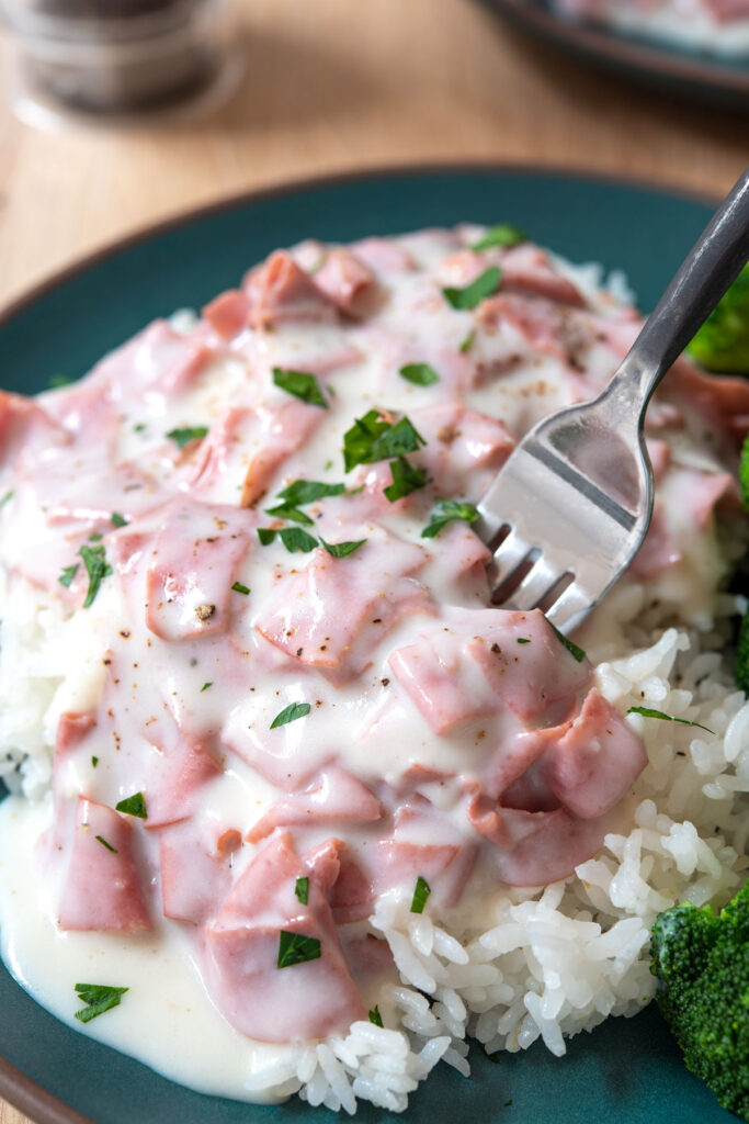 Image of plate of creamed chipped beef over rice.